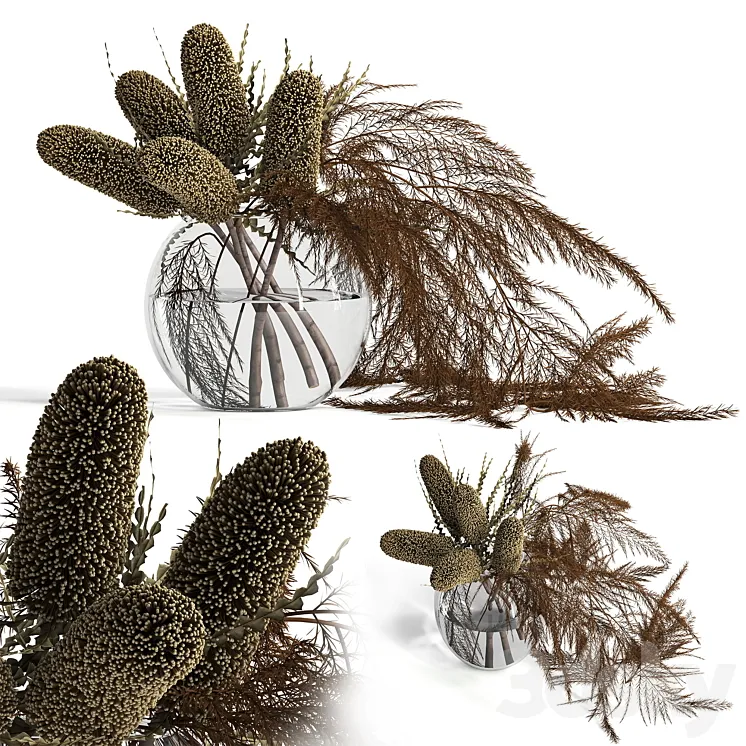 Dry banksia and fern 3DS Max