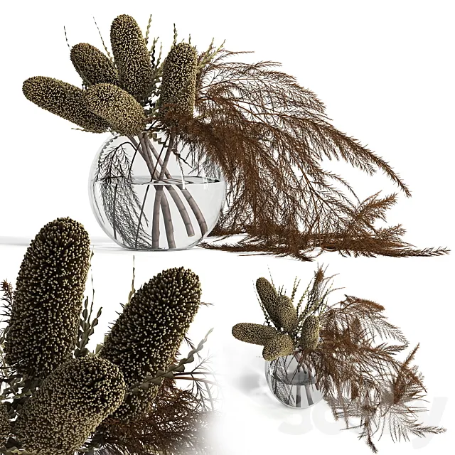 Dry banksia and fern 3DSMax File