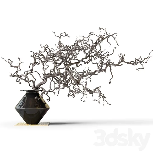 Dry branch in a black vase 3ds Max