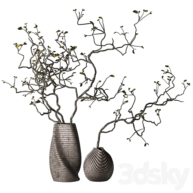 Dry branches with leaves in decorative vases 3DS Max Model