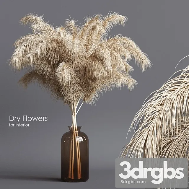 Dry flowers 03