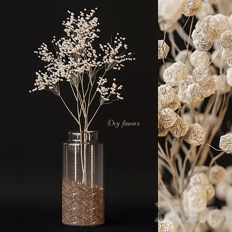 Dry flowers 3DS Max Model