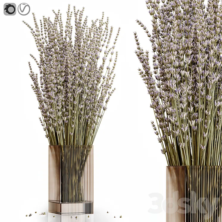 Dry flowers 5 lavender 3DS Max
