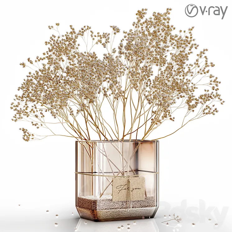 Dry flowers 6 VRAY 3DS Max Model