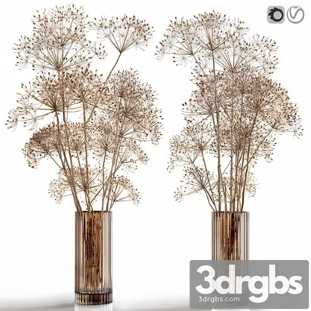 Dry Flowers 7 Heracleum 3dsmax Download