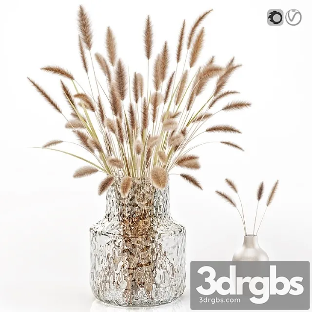 Dry Flowers in Glass Vase 2 3dsmax Download