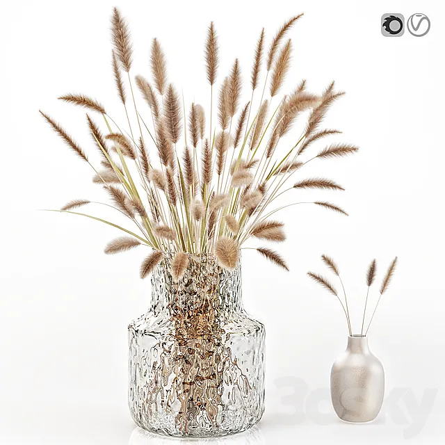 Dry flowers in glass vase 2 3DS Max Model