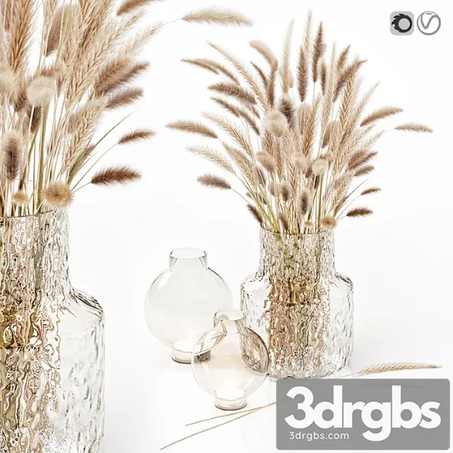 Dry flowers in glass vase