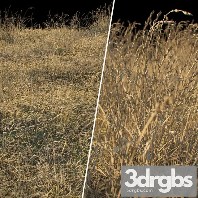 Dry Grass 1 3dsmax Download