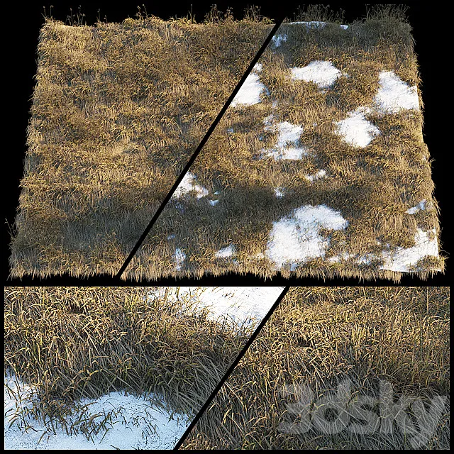 Dry grass | Thaw pollen 3DS Max Model