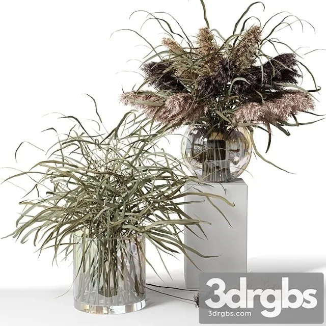 Dry Herb Bouquets in Glass Vases 3dsmax Download