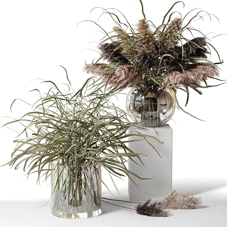Dry herb bouquets in glass vases 3DS Max