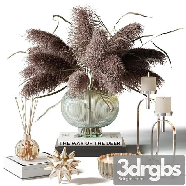 Dry herb in a glass vase – decorative set