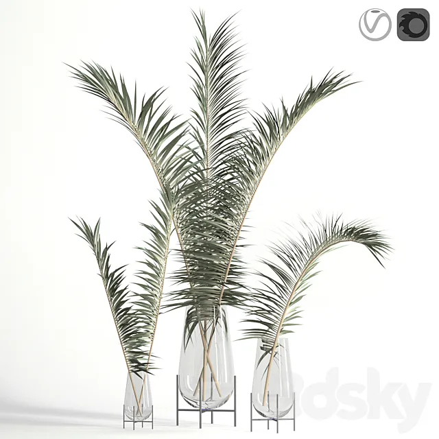 Dry palm leaves in Echasse vases 3DSMax File