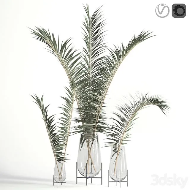 Dry palm leaves in Echasse vases 3dsMax Model