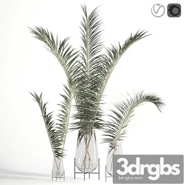 Dry palm leaves in echasse vases