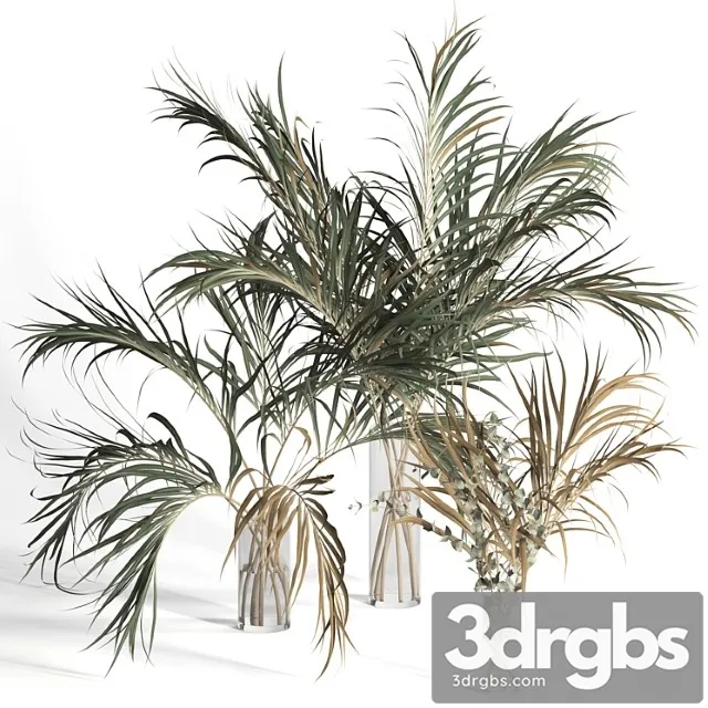 Dry palm leaves in vases