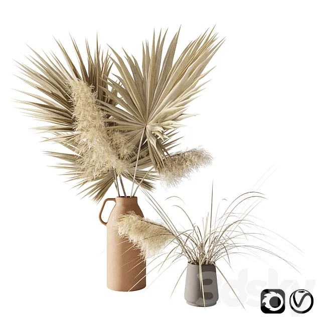 Dry palms and pampas 3DSMax File