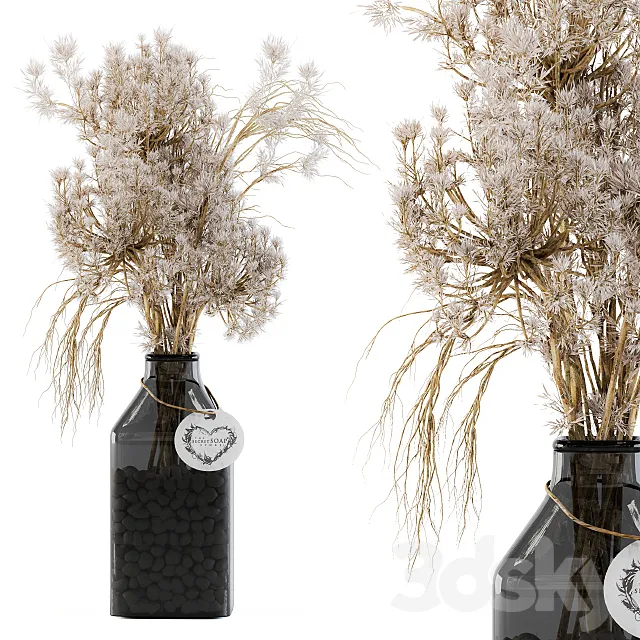 Dry plants 09 3DSMax File