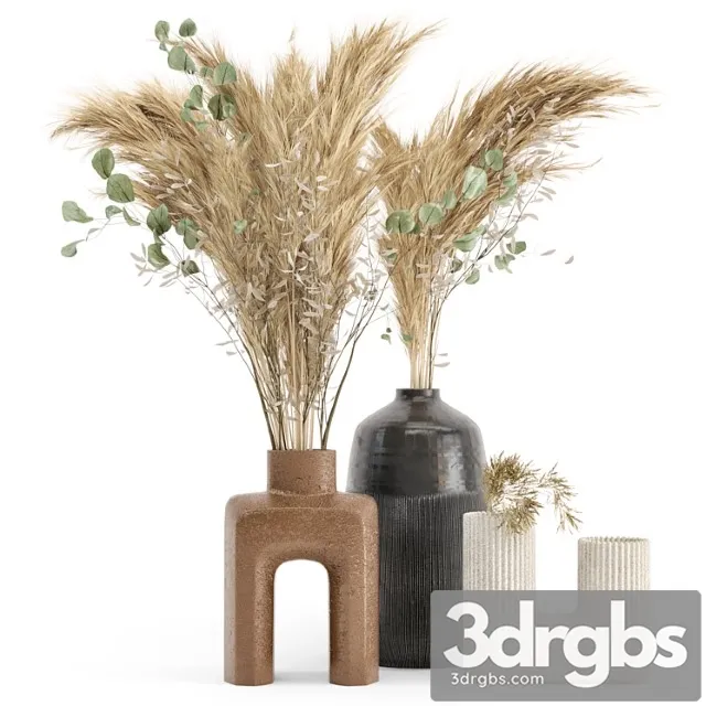 Dry plants 19 – dried plantset pampas with concrete vase