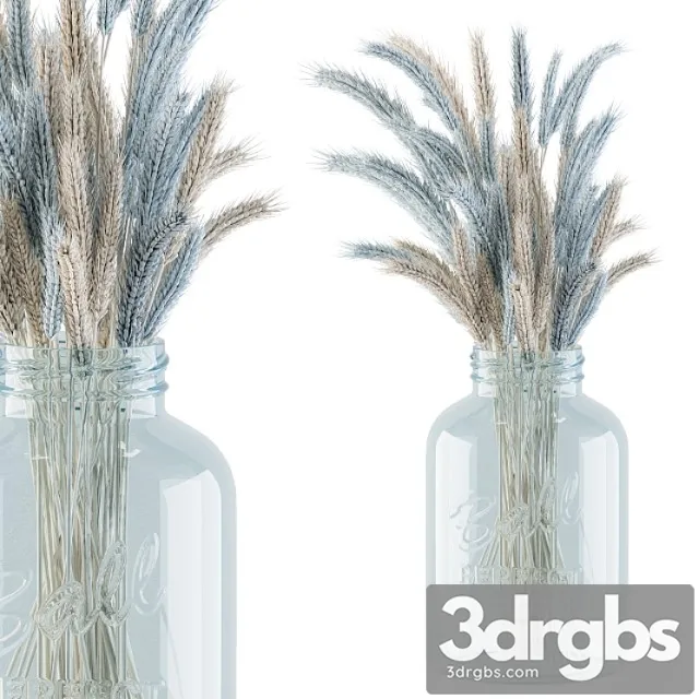 Dry plants 20 – blue and cream wheat in jam glass