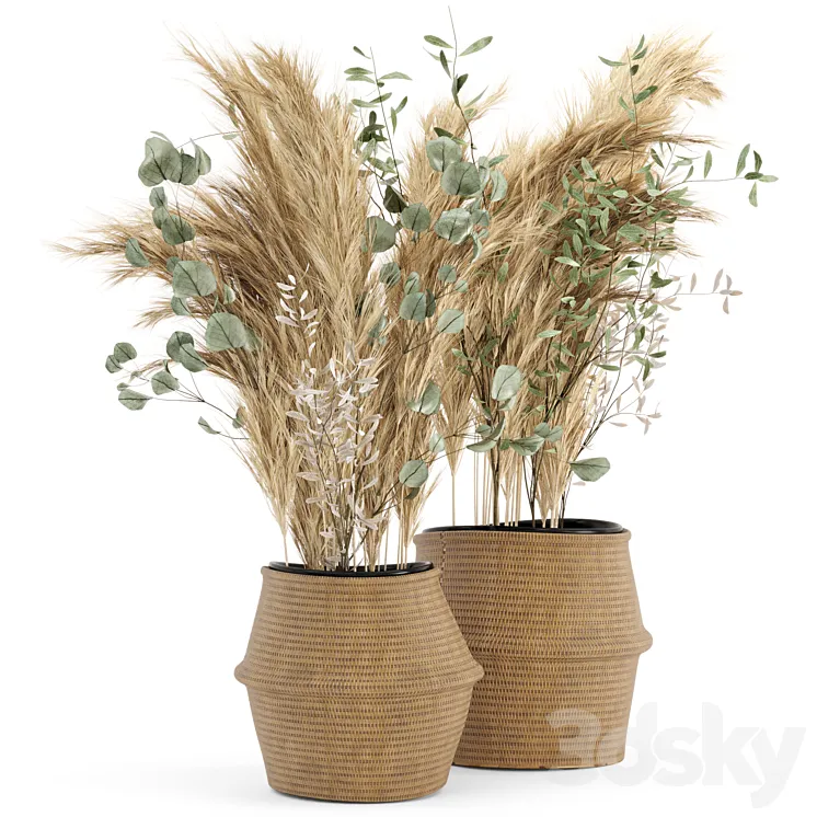 Dry plants 20 – Dried Plantset Pampas set with Wicker Basket 3DS Max