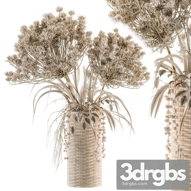 Dry Plants 22 3dsmax Download