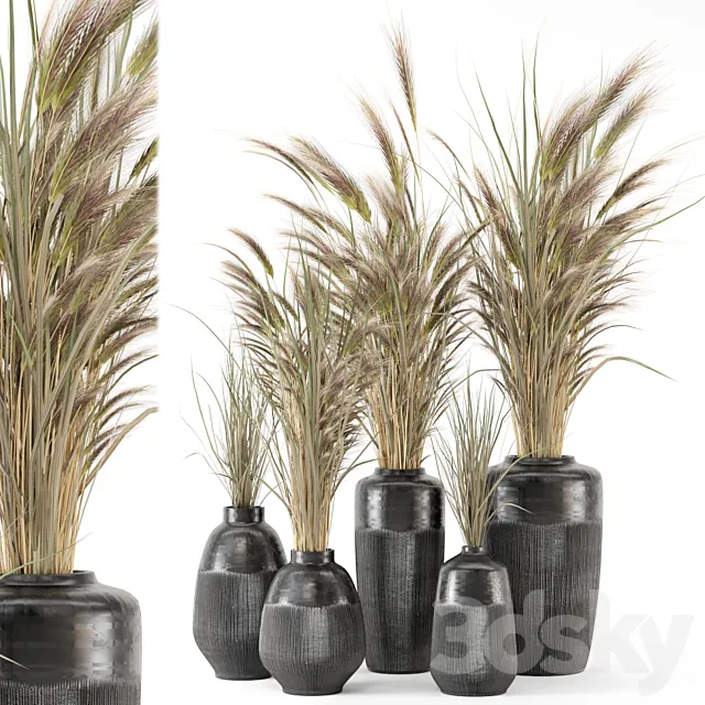 Dry plants 25 – Dried Plantset in handmade vase 3ds Max