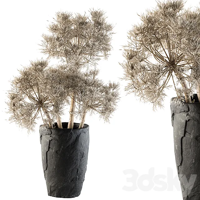 Dry plants 32 – Dried Plant 3DSMax File