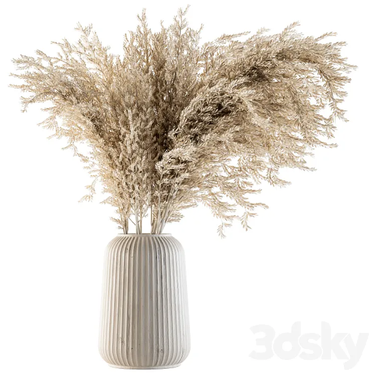 Dry plants 36 – Dried Plant Pampas 3DS Max
