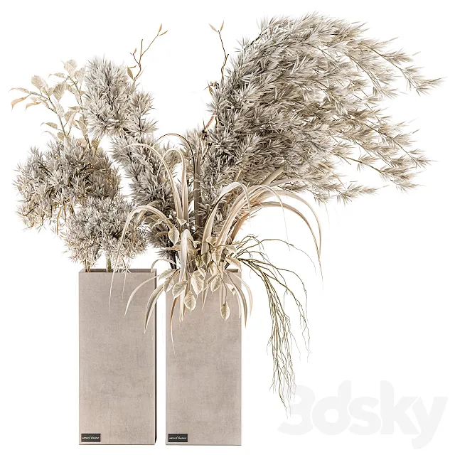 Dry plants 39 – Dried Plant Pampas 3DSMax File