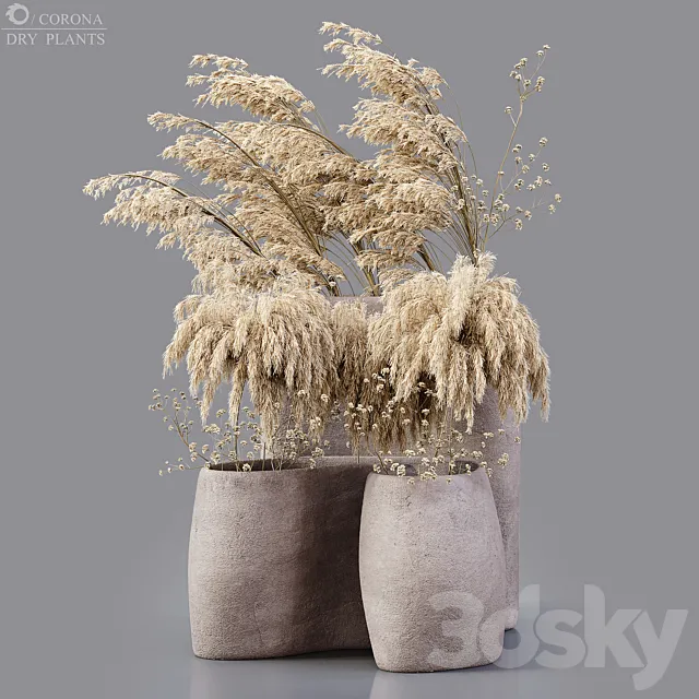 Dry plants 3ds Max