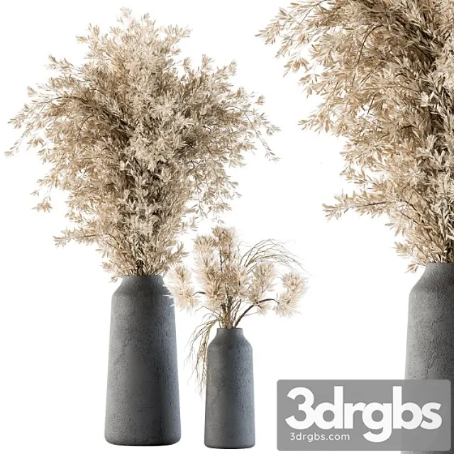 Dry plants 42 – dried plant pampas