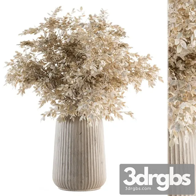 Dry plants 46 – dried plant bouquet