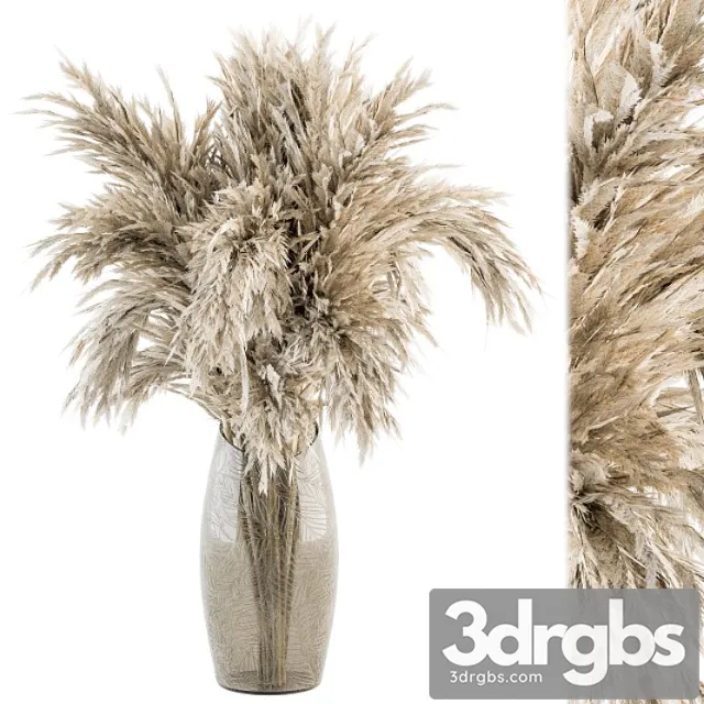 Dry plants 47 – dried plant pampas bouquet