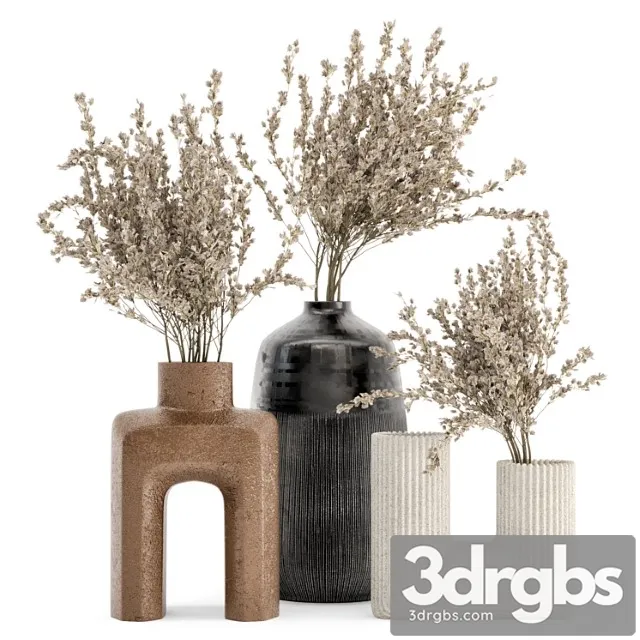 Dry plants bouquet collaction in concrete pot – set 358