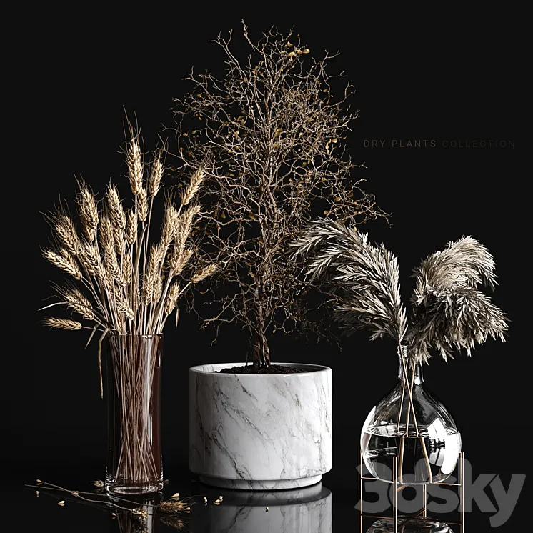 Dry plants collection 3DS Max