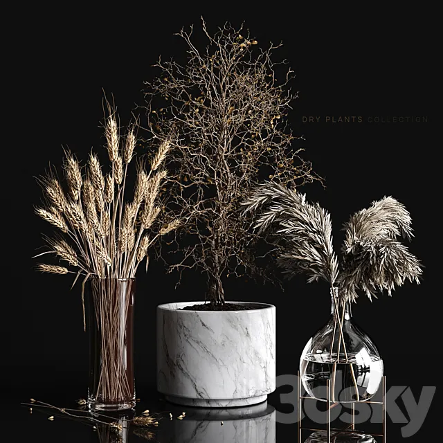 Dry plants collection 3DSMax File