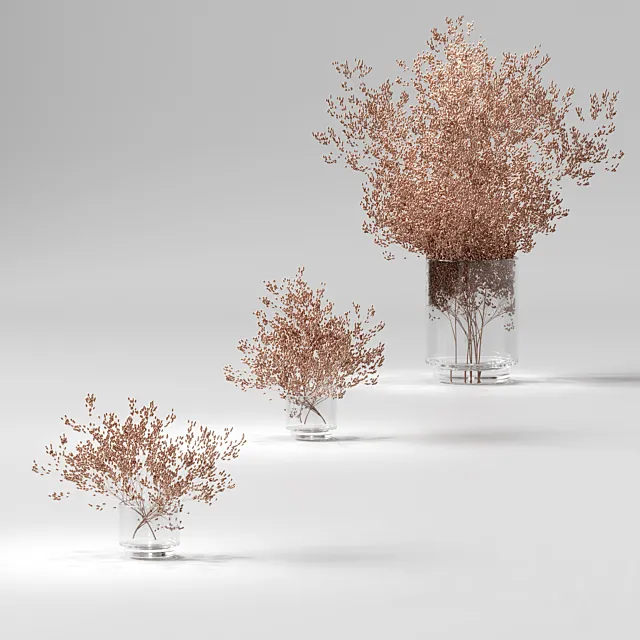 Dry plants set. 3 models 3DS Max Model