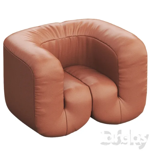 Ds-707 leather armchair by de sede