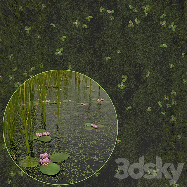 Duckweed Cattail and Water Lilies 3ds Max