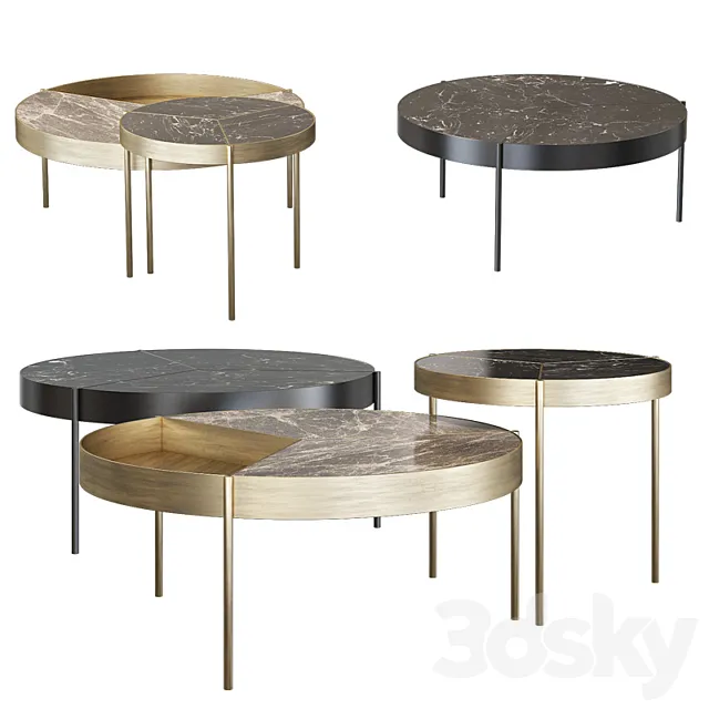 Duistt Ray coffee table 3ds Max