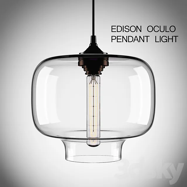 Edison Oculo Pendant Light 3ds Max