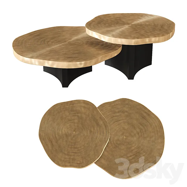 Eichholtz – Coffee Table Thousand Oaks set of 2 3ds Max