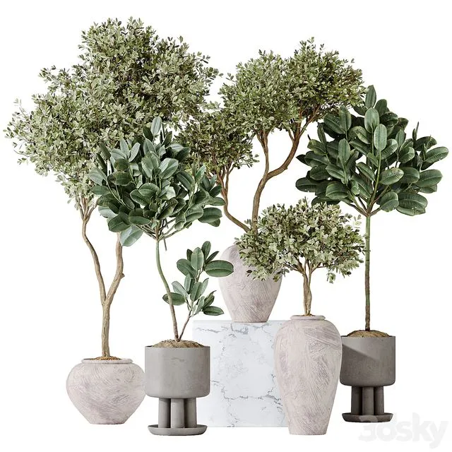 Elastica Abidjan Melany and Mission Olive Tree Vase 18 3dsMax Model