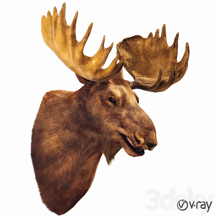 Elk head 3DS Max