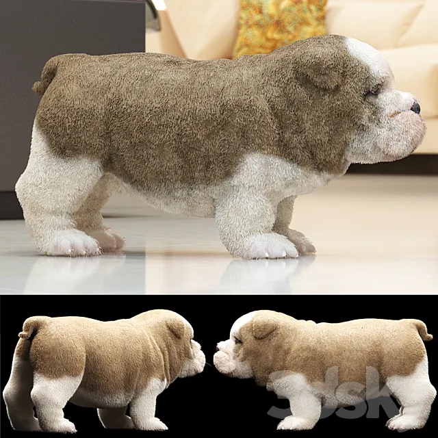 ENGLISH BULDOG PUPPY 3DS Max Model