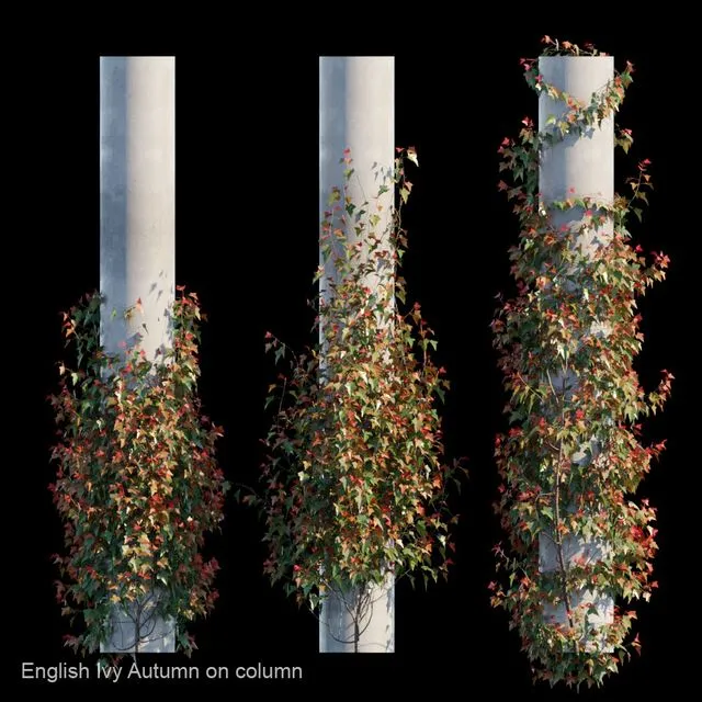English Ivy Autumn on column 3dsMax Model