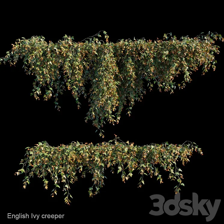 English Ivy creeper 3DS Max