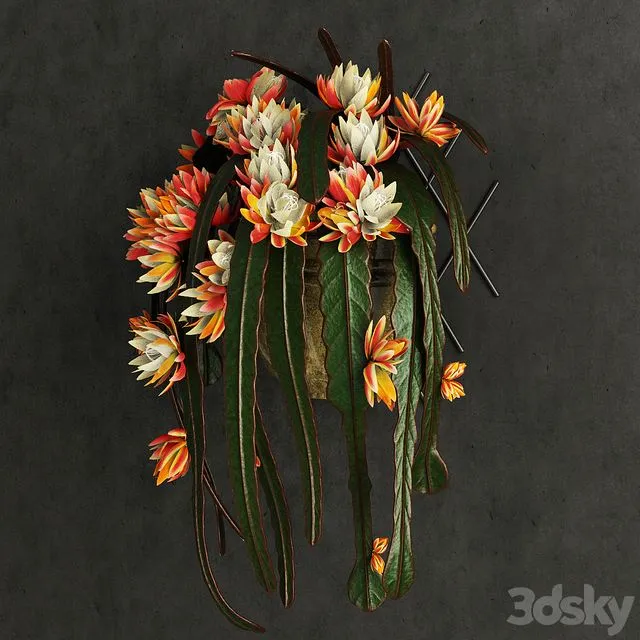 Epiphyllum 3dsMax Model